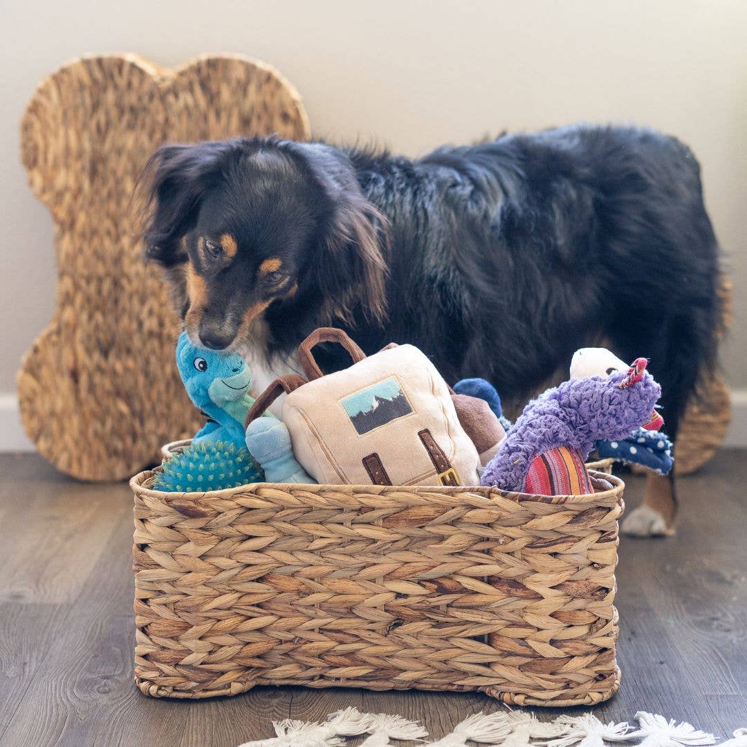 LARGE BONE-SHAPED PET STORAGE
